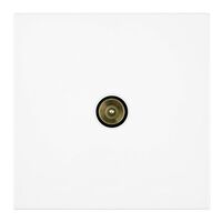 Розетка TV Мия (белая магнолия) / Stekker RST00-3108-01