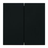 Переключатель двухклавишный Мия (черный бархат) / Stekker RSW10-3107-05