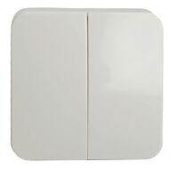 Выключатель двухклавишный София (белый) / Stekker MSW10-20-01