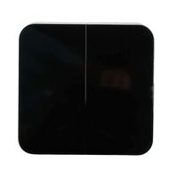 Выключатель двухклавишный София (черный) / Stekker MSW10-20-02