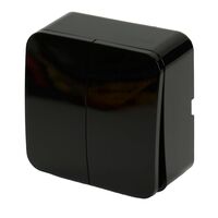 Выключатель двухклавишный София (черный) / Stekker MSW10-20-02