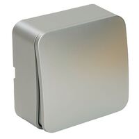 Выключатель одноклавишный София (серебро) / Stekker MSW10-10-03