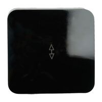 Переключатель одноклавишный София (черный) / Stekker MSW10-12-02