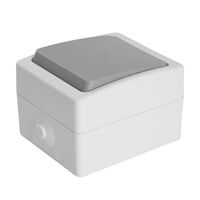 Переключатель одноклавишный Велена (белый/серый) / Stekker PSW10-212-54