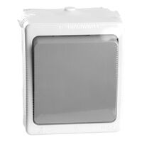 Переключатель одноклавишный Велена (белый/серый) / Stekker PSW10-212-54