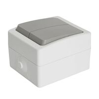 Выключатель двухклавишный Велена (белый/серый) / Stekker PSW10-221-54