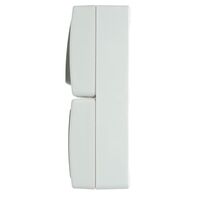 Блок вертикальный: розетка с/з и крышкой и выключатель двухклавишный Велена (белый/серый) / Stekker PST16-21-54V/10-221-54