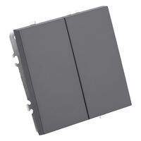 Переключатель перекрестный двухклавишный Эмили (платиново-серый) / Stekker RSW10-5111-10