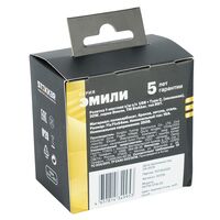 Розетка с заземлением, защитными шторками и USB тип C Эмили (черный уголь) / Stekker RST16-5119-05