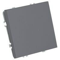 Выключатель одноклавишный самовозвратный Эмили (платиново-серый) / Stekker RSW10-5112-10