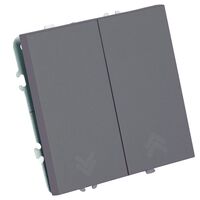 Выключатель двухклавишный самовозвратный Эмили (платиново-серый) / Stekker RSW10-5113-10