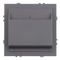 Выключатель карточный Эмили (платиново-серый) / Stekker Stekker RSW40-5114-10