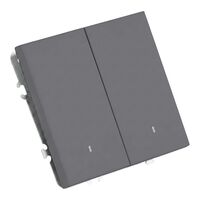 Выключатель двухклавишный с подсветкой Эмили (платиново-серый) / Stekker RSW10-5102-10