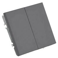 Переключатель двухклавишный Эмили (платиново-серый) / Stekker RSW10-5107-10