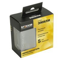 Переключатель двухклавишный Эмили (платиново-серый) / Stekker RSW10-5107-10