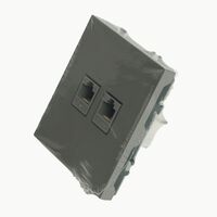 Розетка компьютерная RJ-45 двойная Эмили (платиново-серый) / Stekker RST00-5111-10