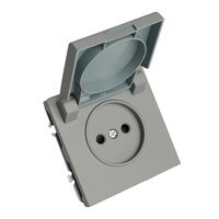 Розетка без заземления, с крышкой и защитными шторками Эмили (платиново-серый) / Stekker RST16-5113-10