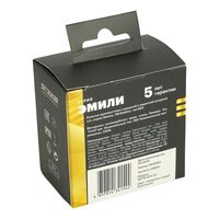 Розетка с заземлением, крышкой и защитными шторками Эмили (платиново-серый) / Stekker RST16-5112-10