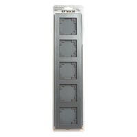 Рамка на 5 постов Катрин (серебро, Glance) / Stekker GFR00-7005-03