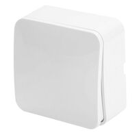 Выключатель одноклавишный София (белый) / Stekker MSW10-10-01