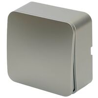 Выключатель одноклавишный София (серебро) / Stekker MSW10-10-03