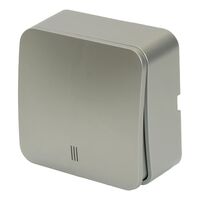 Выключатель одноклавишный с подсветкой София (серебро) / Stekker MSW10-11-20-03