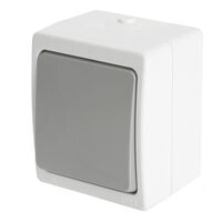 Переключатель одноклавишный Велена (белый/серый) / Stekker PSW10-212-54