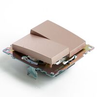 Переключатель двухклавишный Катрин (шампань) / Stekker GLS10-7107-02