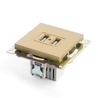 Розетка USB тип A Катрин (золото) / Stekker GLS10-7115-08