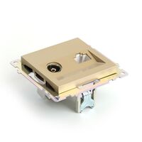 Розетка TV + RJ-45 Катрин (золото) / Stekker GLS00-7106-08