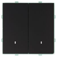 Выключатель двухклавишный с подсветкой Эмили (черный уголь) / Stekker RSW10-5102-05