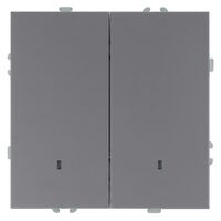 Выключатель двухклавишный с подсветкой Эмили (платиново-серый) / Stekker RSW10-5102-10