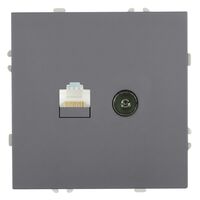 Розетка TV + RJ-45 Эмили (платиново-серый) / Stekker RST00-5106-10