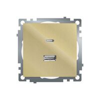 Розетка USB тип A+C Катрин (золото) / Stekker GLS10-7116-08