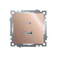 Розетка USB тип A+C Катрин (шампань) / Stekker GLS10-7116-02