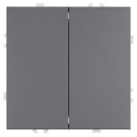 Переключатель перекрестный двухклавишный Эмили (платиново-серый) / Stekker RSW10-5111-10