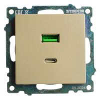 Розетка USB тип A+C Катрин (золото) / Stekker GLS10-7116-08