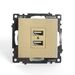Розетка USB тип A Катрин (золото) / Stekker GLS10-7115-08