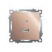 Розетка USB тип A+C Катрин (шампань) / Stekker GLS10-7116-02