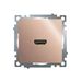 Розетка HDMI Катрин (шампань) / Stekker GLS00-7118-02